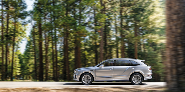 Bentley Copenhagen Bentley Bentayga Extended Wheelbase SUV in Moonbeam paint driving dynamically on a forest road